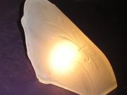 Antique Vintage Slip Shade for Moe Bridges Lighting Fixture